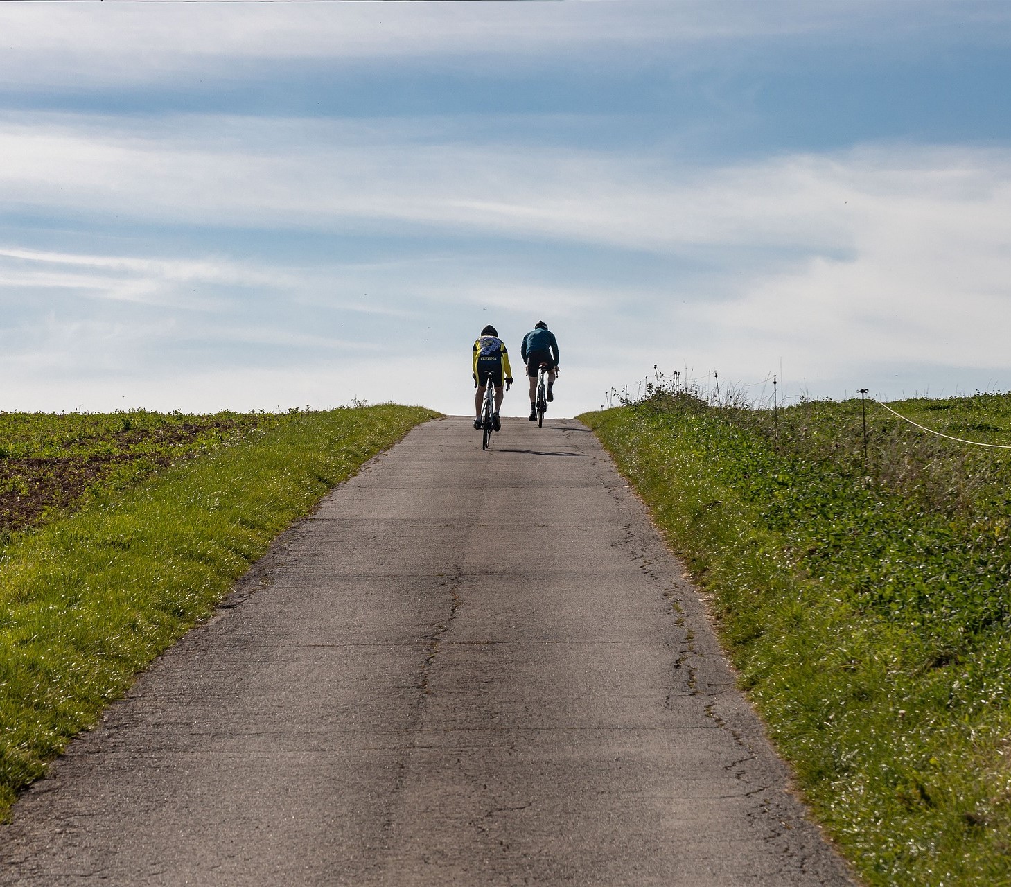 nature-g8b2fe8c82_1920